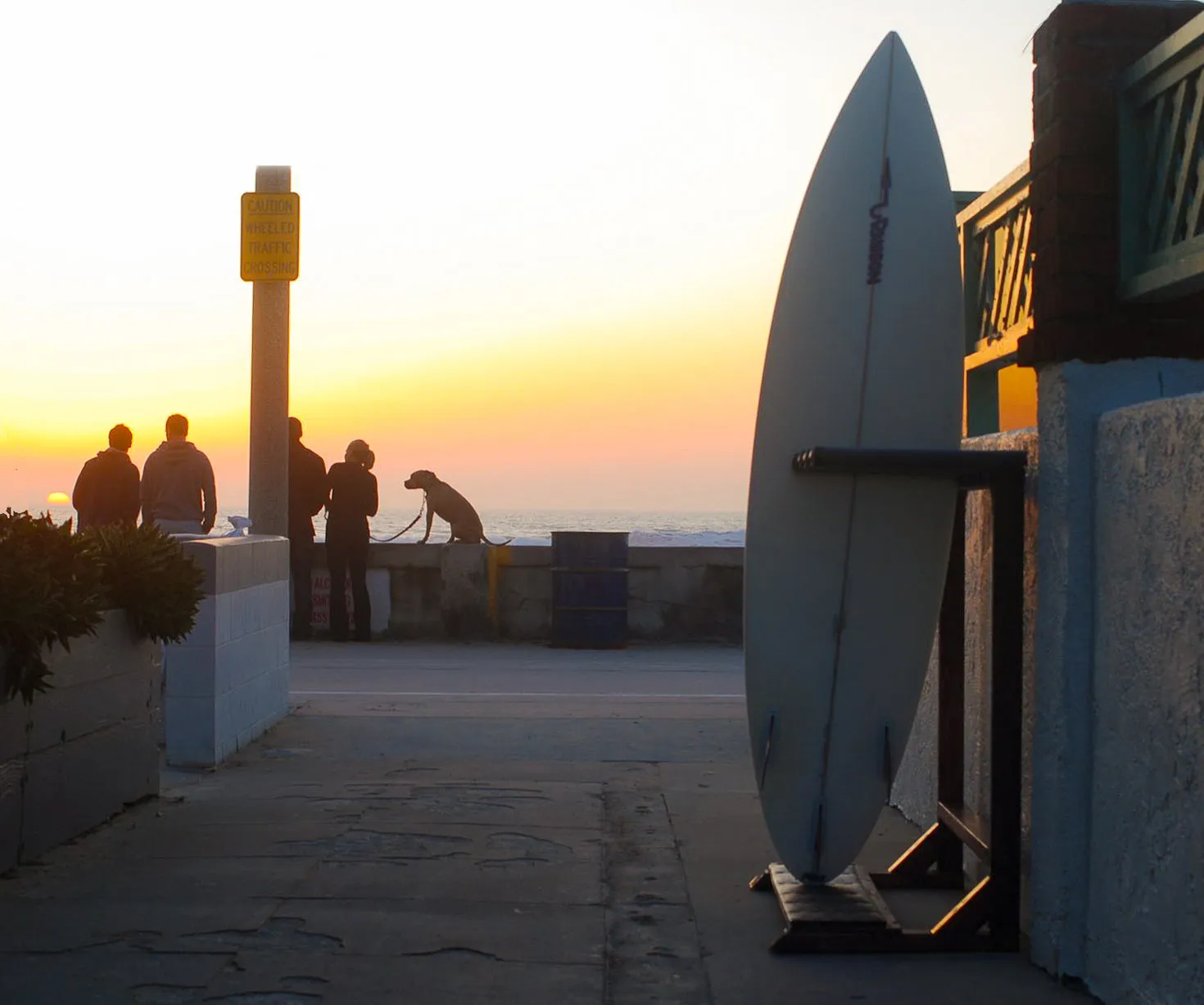 BlackOut Foamy Surf Rack