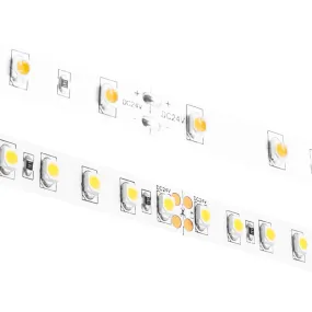 Blaze 300 4.5W/ft LED Tape Light, 24V, 16ft, 5000K