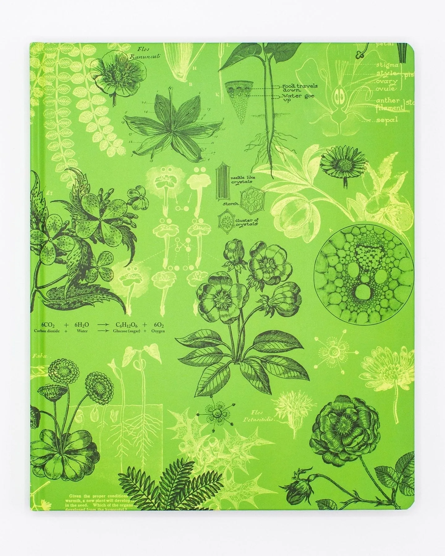 Botany & Plant Science Lab Notebook